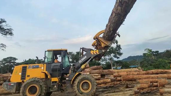 Explore African Rainforest, Watch XCMG's Hercules Transport Logs